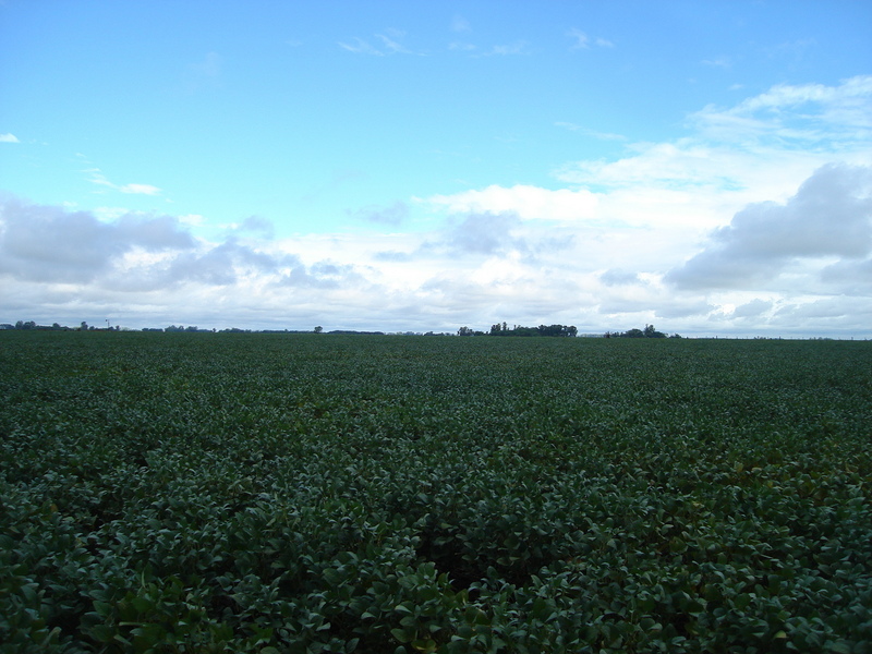 Vista hacia el Sur - View to the South