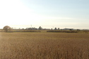 #2: Vista hacia el Este - View to the East