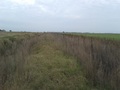 #2: Vista oeste. West view