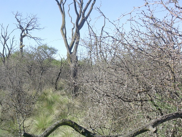 Vista hacia el sur - View to the south