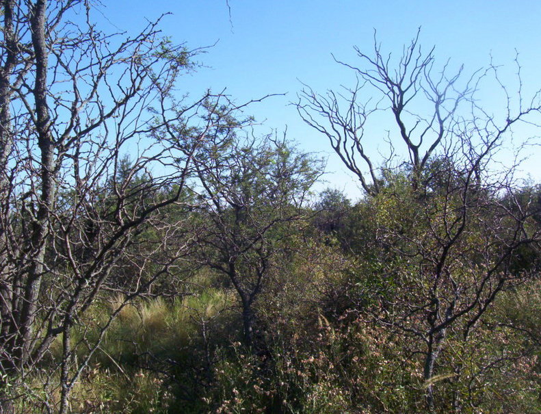 Vista norte. North view