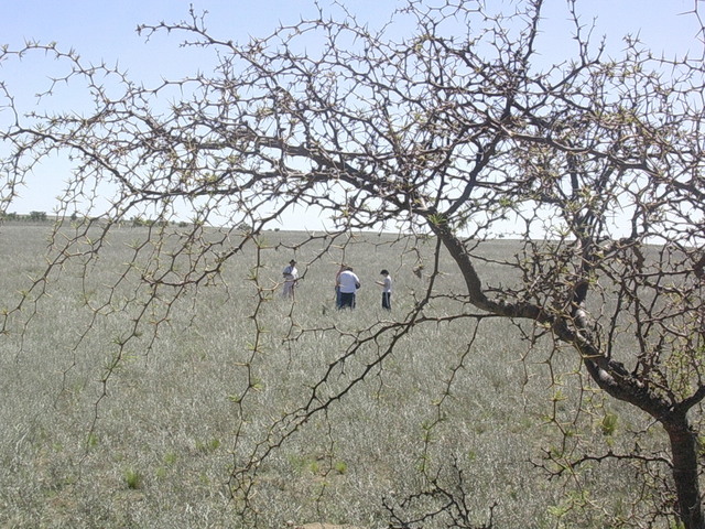Paisaje del sur puntano - Landscape of the south of San Luis