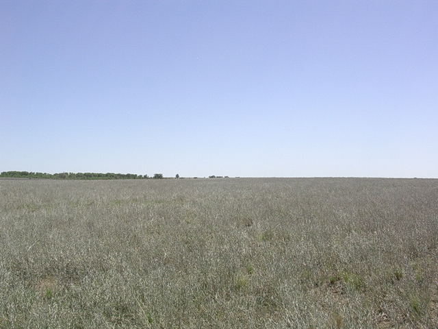 Vista hacia el norte  - View to the north