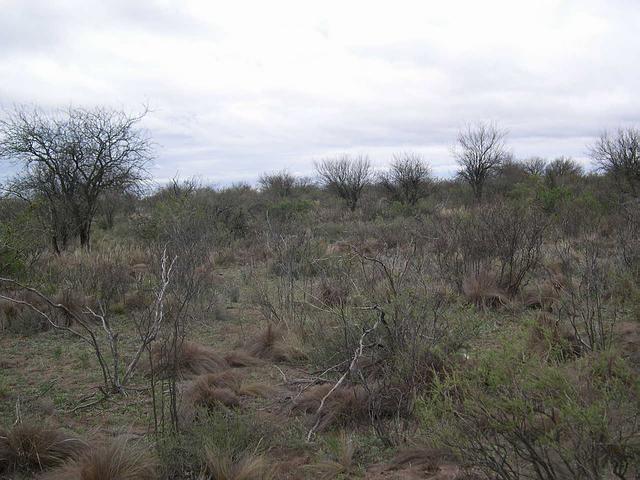 Vista Hacia el Norte