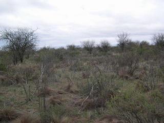 #1: Vista Hacia el Norte