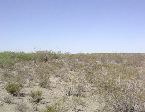 Vista hacia el norte  - View to the north