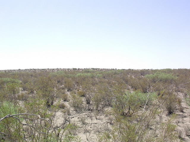 Vista hacia el oeste - View to the west