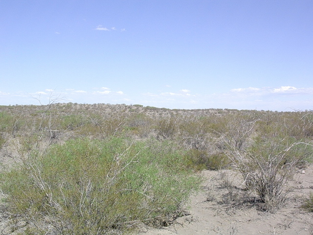 Vista hacia el este - View to the east