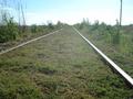 #5: an obviously abandoned railtrack from Las Flores to General Belgrano