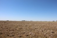 #3: Este - East
