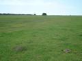 #7: View to the South