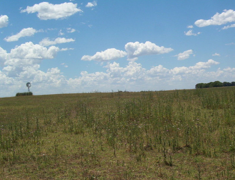 Vista Norte. North view