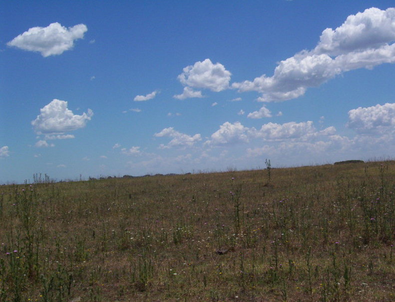 Vista Oeste. West view