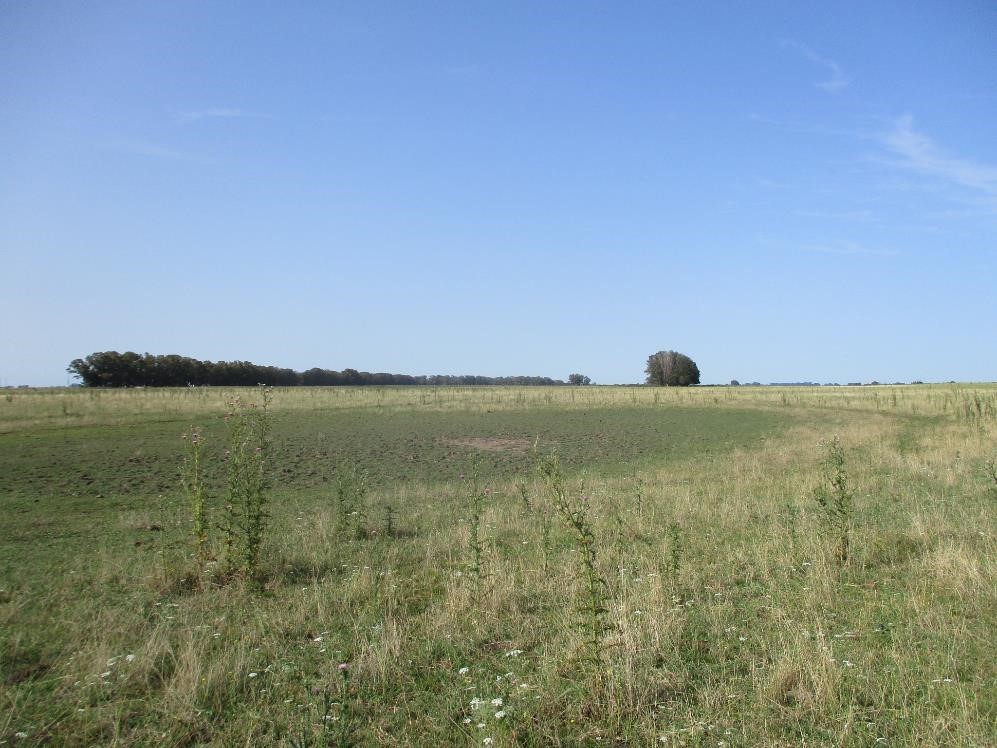 Vista Norte - North View
