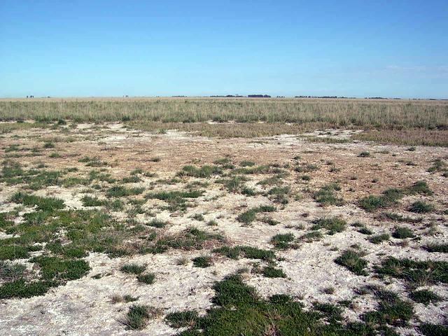 Al evaporarse el agua de las lagunas, deja una costra de sal.