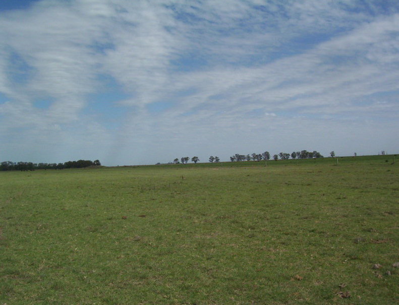 South view