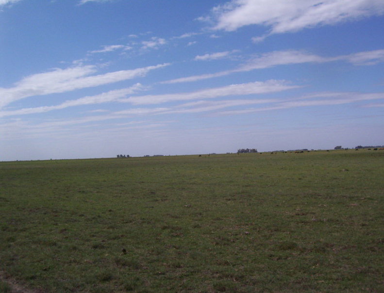 North view
