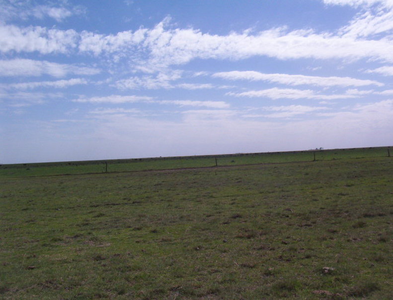 West view