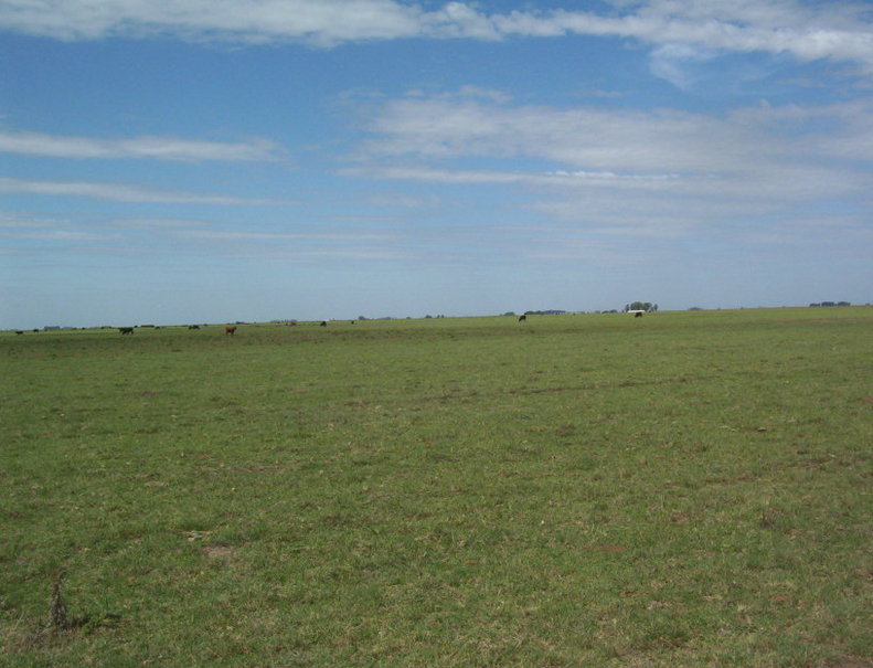 East view