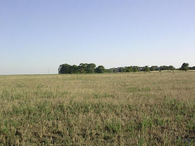 Vista hacia el sur - View to the south