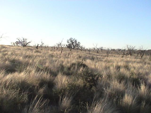 Vista hacia el norte