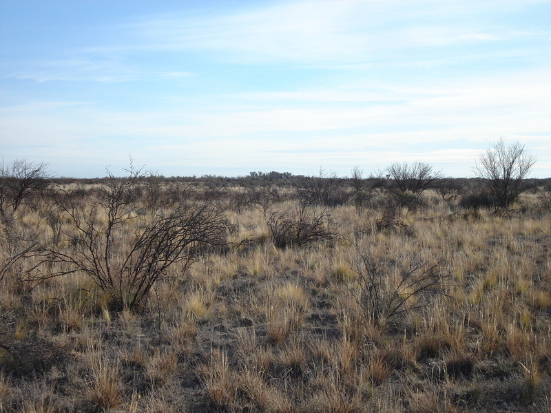 Vista hacia el Norte - View to the North