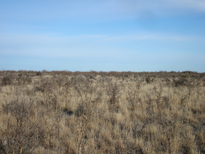 Vista hacia el Oeste - View to the West