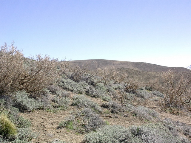 Vista hacia el norte  - View to the north