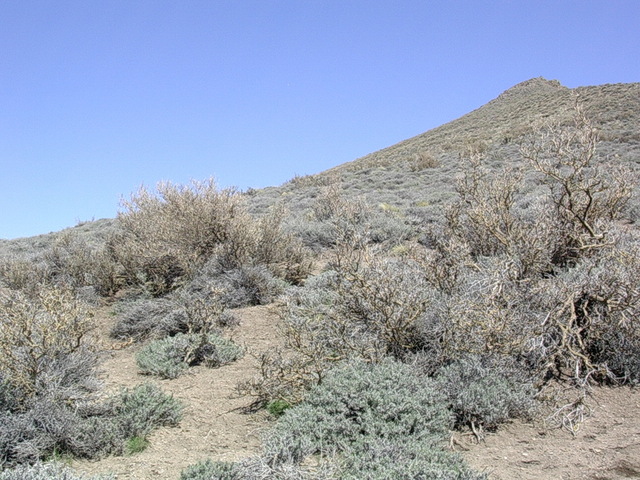 Vista hacia el oeste - View to the west