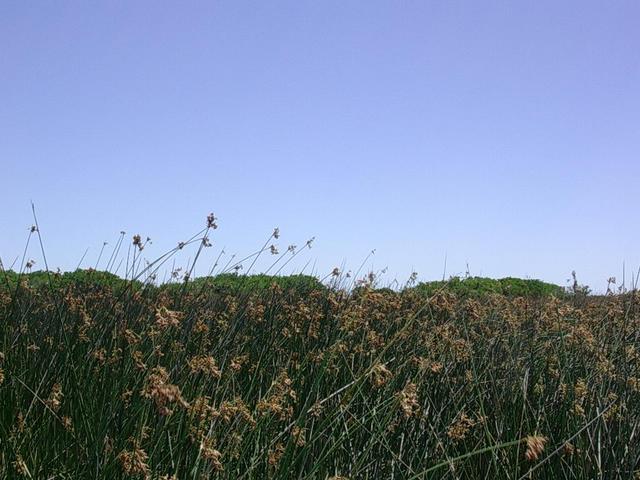 Vista hacia el sudeste - View to the souteast