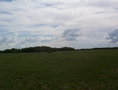 #5: West view at 150 mts from CP. Vista Oeste a 150 mts de la confluencia