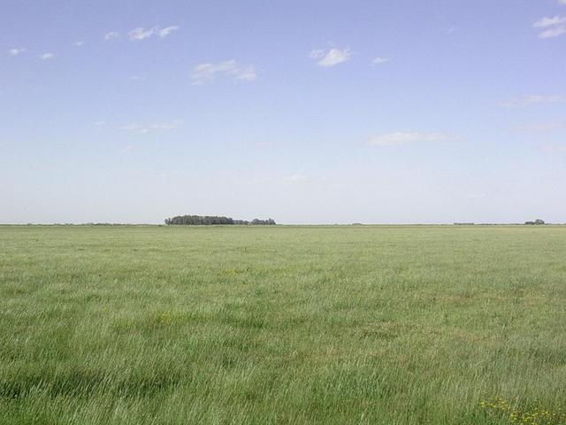 Vista general - General view