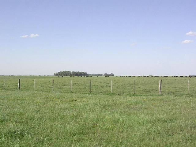 Vista hacia el norte - View to the north