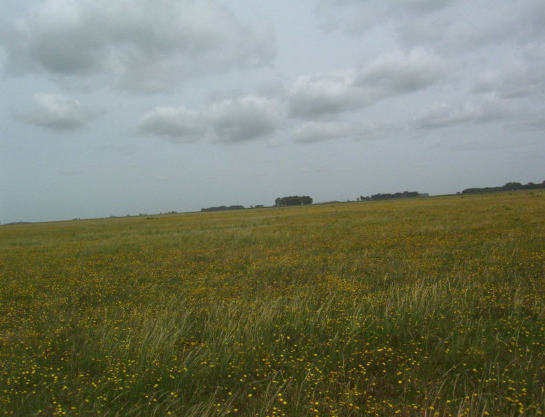 West view. Vista Oeste