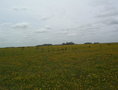 #4: East view. Vista Este