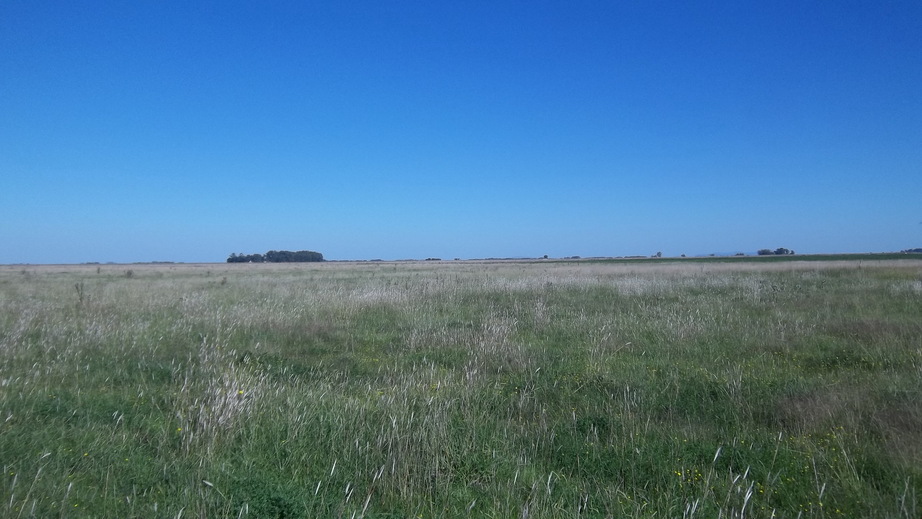 South View from the Confluence