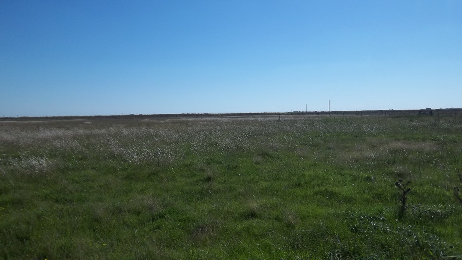 West View from the Confluence