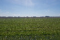Visit #6: [10-Mar-25]