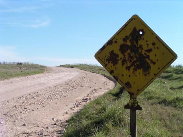 Dirt road towards the confluence