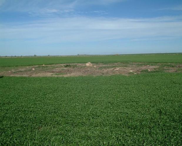 "Argentine Stonehenge"