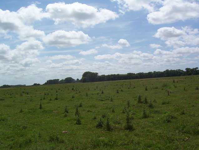Vista General