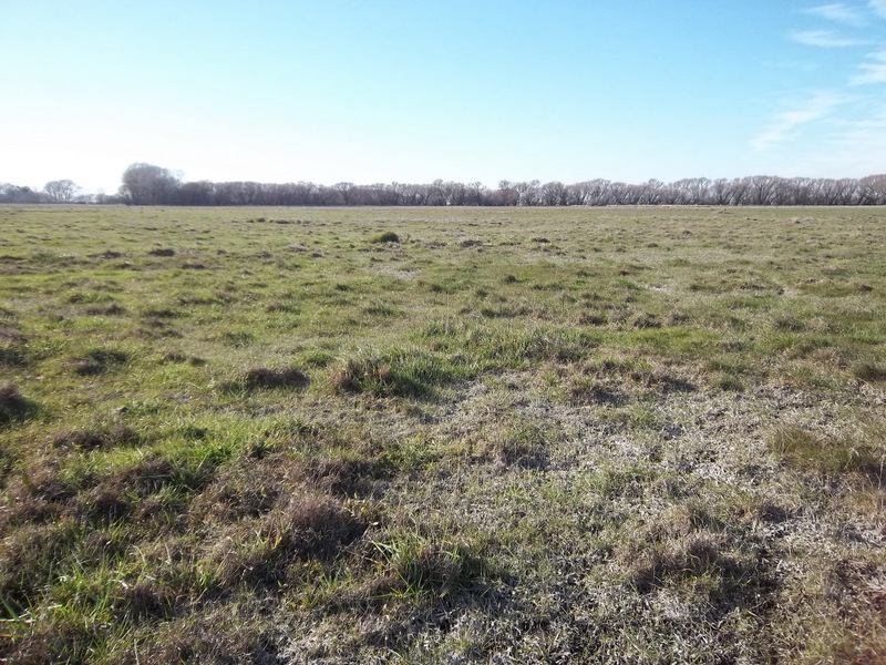 East View from the Confluence