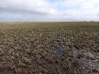 #2: #2: North View from the Confluence