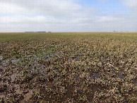 #3: South View from the Confluence
