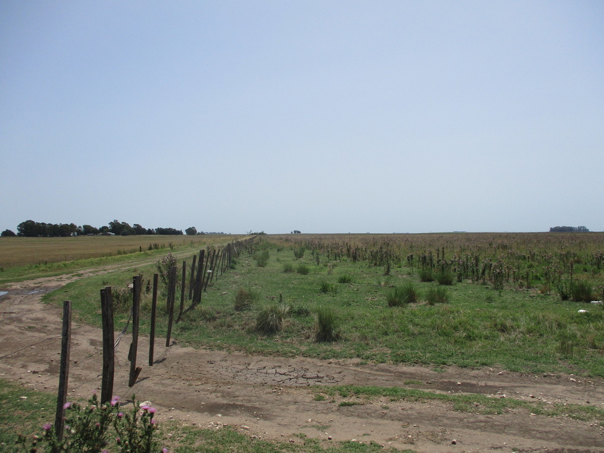 Vista Norte - North View