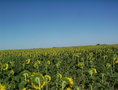 #3: East view