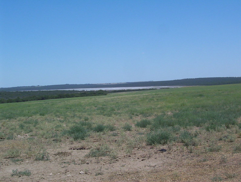 Salt works near by