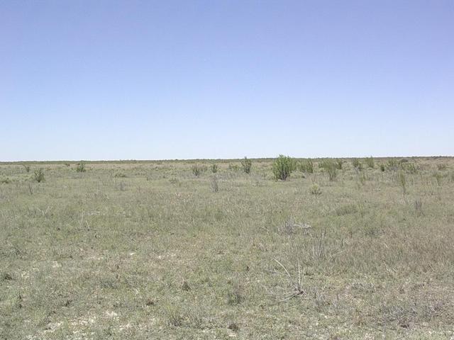 Vista general de la zona - General overview of the zone