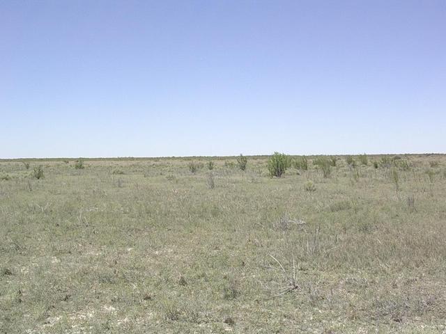 Vista general de la zona - General overview of the zone