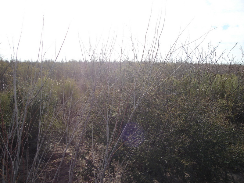 Vista hacia el Oeste - View to the West